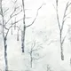 20103089582910581394911507728460532933898740962722033960113131439449817743361