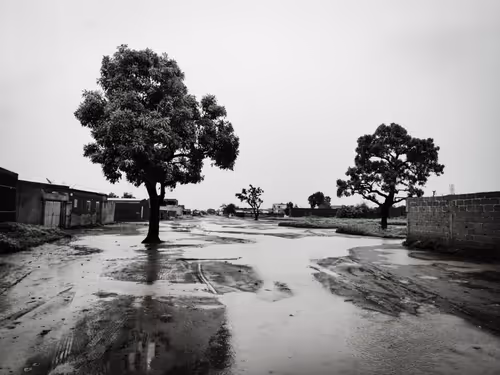 Item #59742005359122653409137203101234497204574370771839963121604776889932822085633 Media