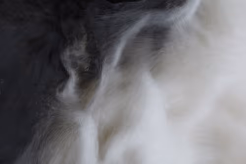 Item #9041475177278098413141713289664909263296173655952934335636380996352209846273 Media