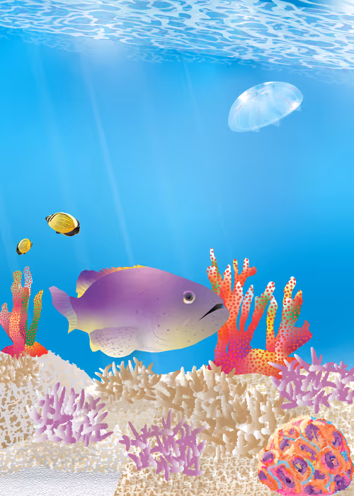 Item #16856792038433310560442353969730674754691862844441676398277363843155005276161 Media