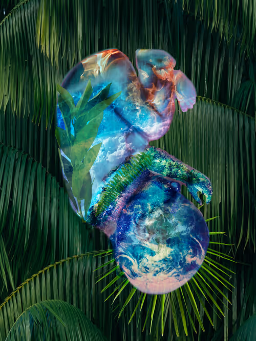 Item #49004350422641323964216046610938913056030361365335976996740690320925147529217 Media