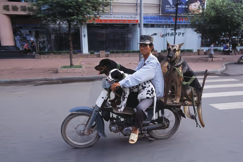 Item #24110165408155573398908987562152031273205884089304227586706331062174824267777 Media