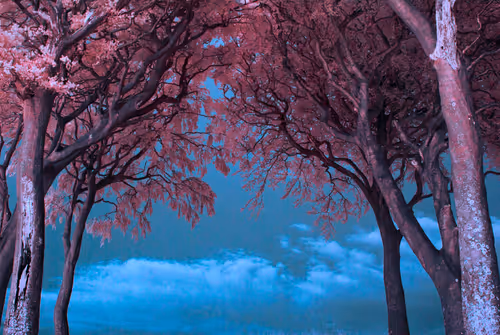 Item #105424874580272350249353180101820695324338341917620358577696675044321447116801 Media