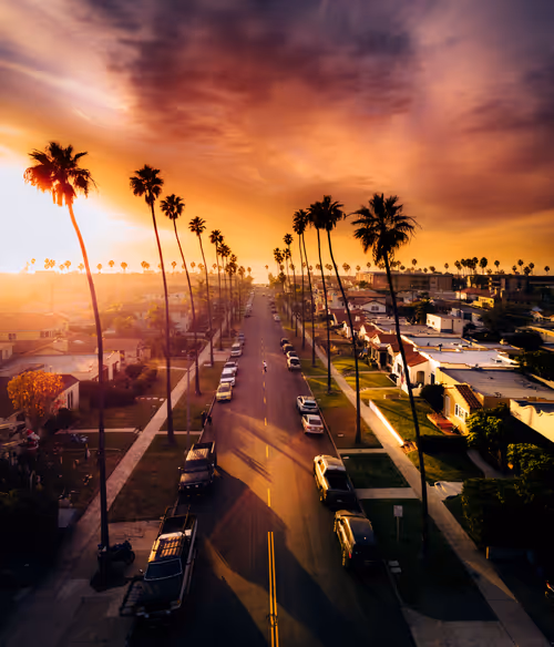 Item #91501497008151221125596935841676000512183505427004855270702190538970290454529 Media