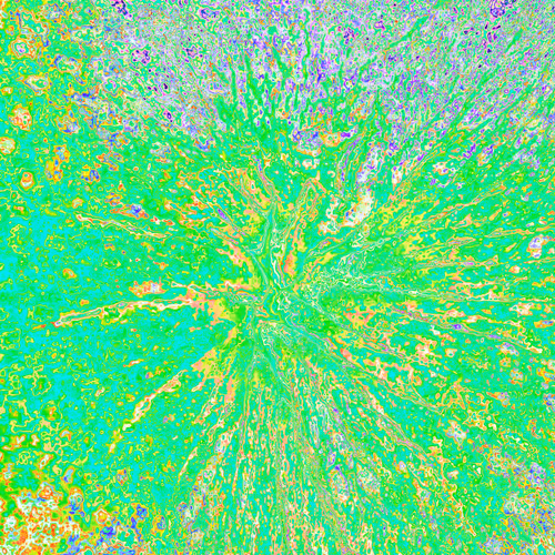 Item #38748192286267356930689689992324455160612969586483070519053316945719030972417 Media