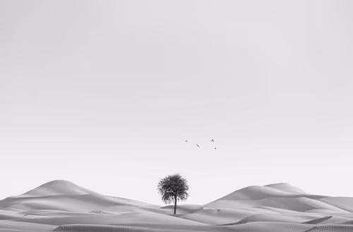 Item #108814857691029429230781820568210235490063919231059486623727012654176205275137 Media