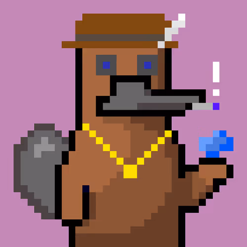 Platy Punk #3284