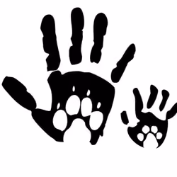 animal adoption