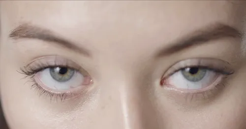 Item #114091279957330982022734478648167430968491445987545800607311341321519166914561 Media