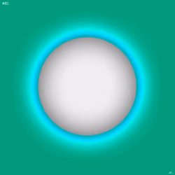 O#81