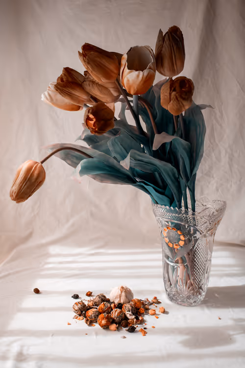 Item #65944253536368355183911176493195225270451461120377666666009501300351203016705 Media