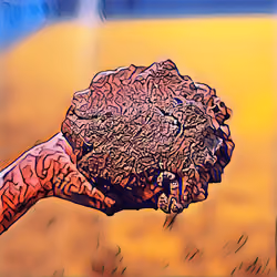 MudPi 3.14159265358