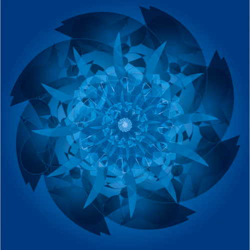 Vortex 1-1
