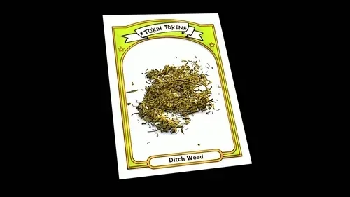 Item #97139780959510079794114301111225762161154784924767289716099000247522250729232 Media