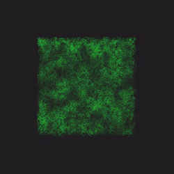 12032733712256437664215437925069129638151898554142308319368358919138659270657