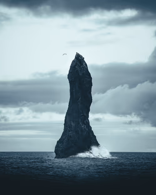 Item #3675481411317596523649091696801759419370078050223984411814034762399691571201 Media