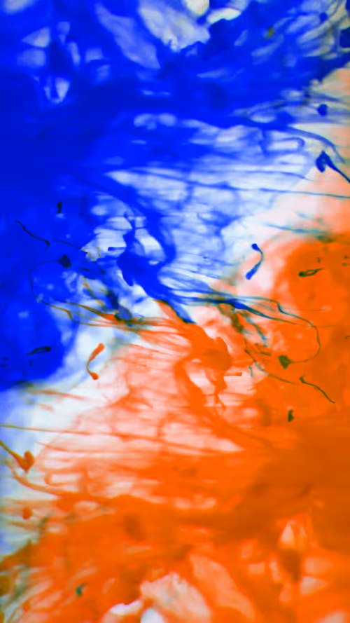 Item #31305712980941030161867633175304117506253559023819364015858336205212580052993 Media