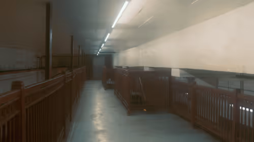 Item #50602958154495431932999713794852947158970610046193973811089445512281273139201 Media