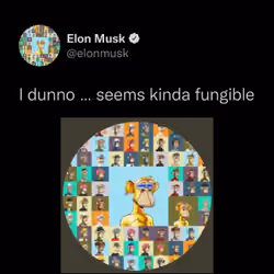Kinda Fungible