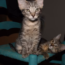 F and U Duo Portrait 1
