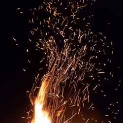 Fire #1