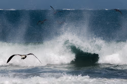 Item #108547290172068983727785202246252609350304201814617164826611776922678804348929 Media