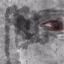Ojo 004