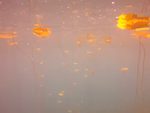 Item #115430421716330114127925714386191036467996783471008022249532804601227862081537 Media