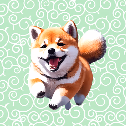 Kokone's NFT Collection