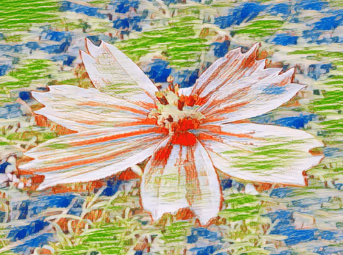 Item #69261177602478584146078213691104273677815526894191982293268527661629302636545 Media