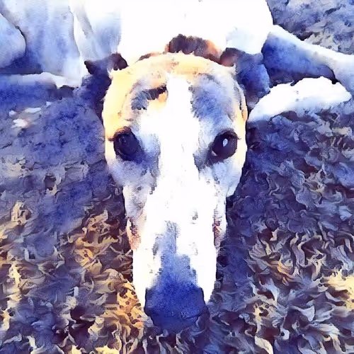 Item #113233535435930126246803406212525192330824104616936385021501681188018386370561 Media