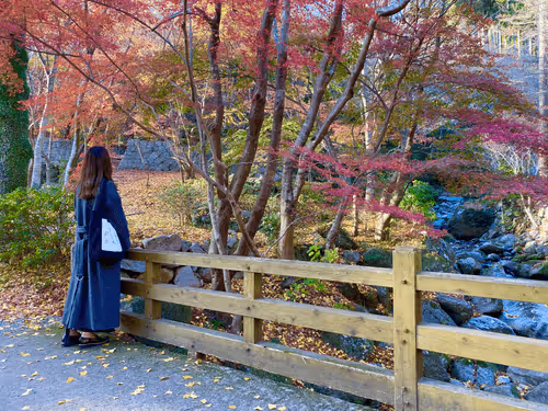 Kaaaaakun Collection