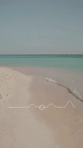 Item #25497950084472149158223983765812872381099777475617920321755067755860783529994 Media