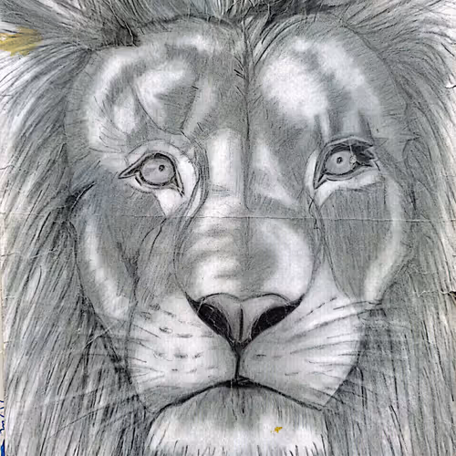 Marvellous_arts Collection