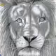 Marvellous_arts Collection