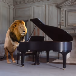 LION PIANIST | ANIMAL MUSICIANS