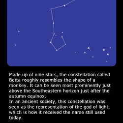 Constellation Card#10 Betta