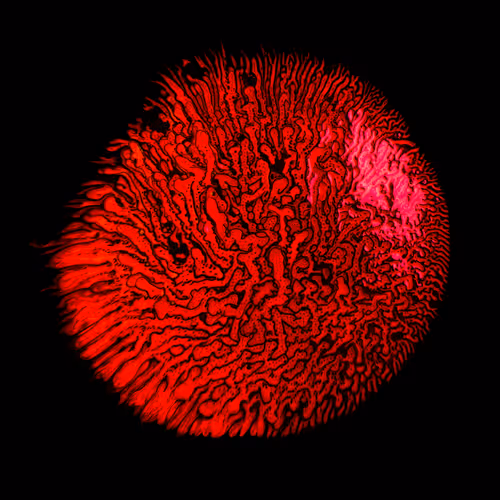 Item #6536742191884206912575663598984880054315379406165865333139133962175257772033 Media