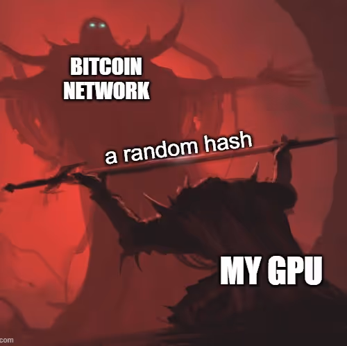 Project501 Collection