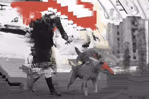 Item #47931049794835633899077939879877203262753179014210666944744912203447940415489 Media