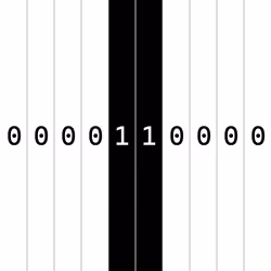 100000110000