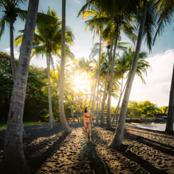 Perfect Palms