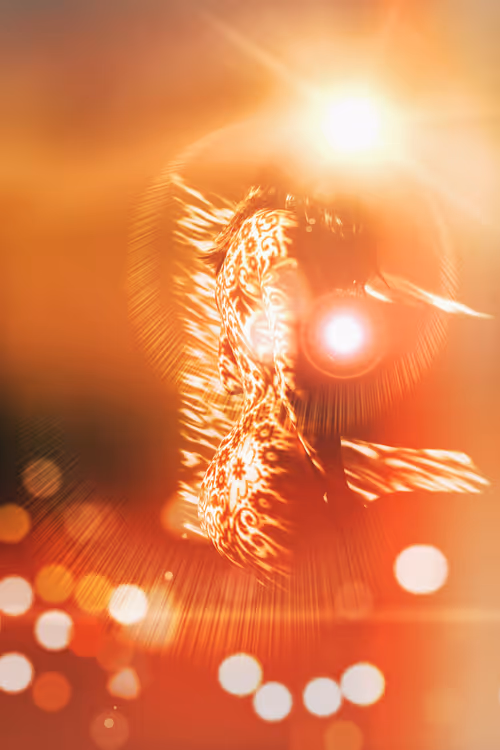 Item #40498021365110625873163859620955492987361950717153146364459205432050746130433 Media