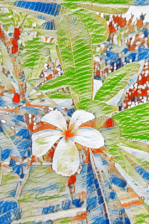 Item #69261177602478584146078213691104273677815526894191982293268527753988279369729 Media