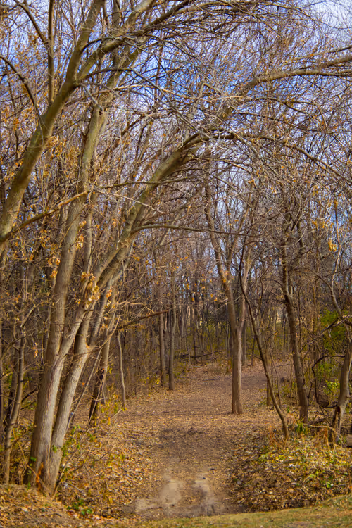 Item #19684374529110288056520570276703370007863893692966726326193838115194883014657 Media