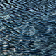 110563264937173630415102547684714144673786021135482478862181301892211208617985