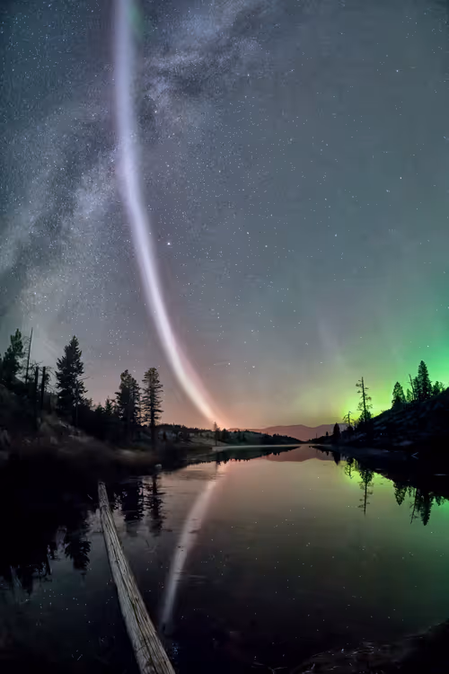 Item #55396979496544417469792883121952566872796951856674190010796140133601001865241 Media