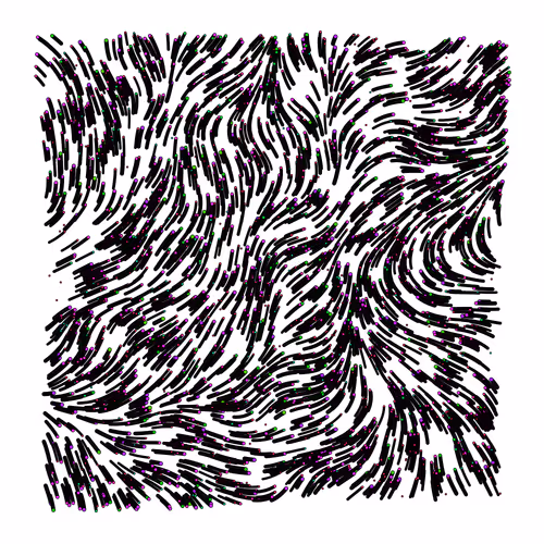 Item #25795200163800101245106772985367877532970984672044752901021566059792870408193 Media