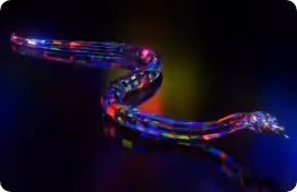 Item #57507319972897574998969125311595350091468975580996428657195420096490811424769 Media