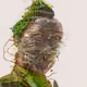 53886423350117081639066244985926331224361495254527783649037260059672301273089